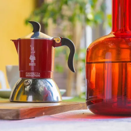 Olive Tree Private In Homestay