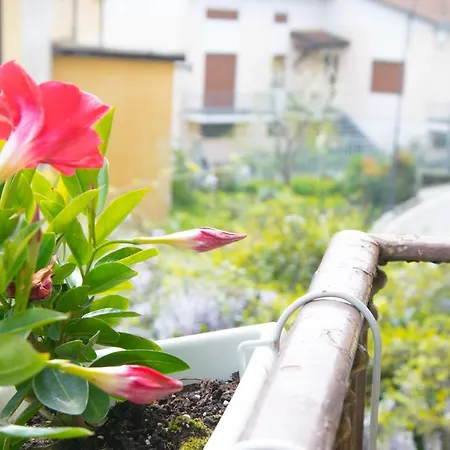 Homestay Olive Tree Private In *